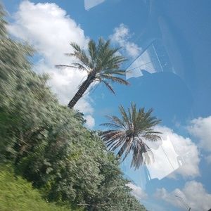 Meet your Posher, Dawson